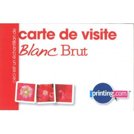 Carte de visite blanc brut - quadri recto seul